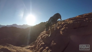 Outdoor Fucking, Sucking and smoking in Red Rock Canyon mountains