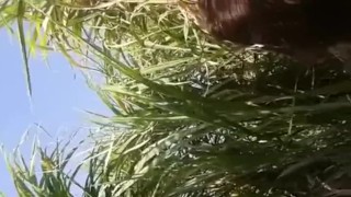 INDIAN GIRL BLACKMAILED IN THE FIELD