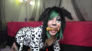 Knotty Dalmatian Creampie Bad Dragon Dildo